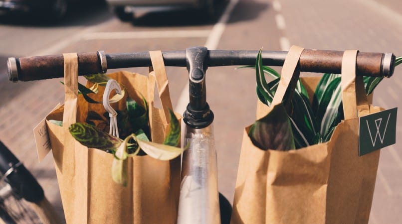 bags of groceries on a bike